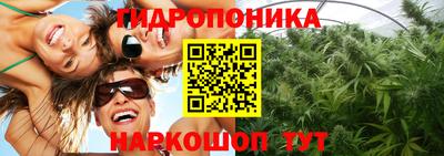 амф Краснодар