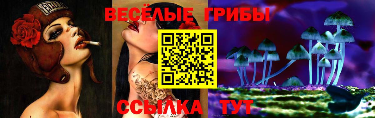 Галлюциногенные грибы Psilocybe  Вход с VPN  Камышин  Псилоцибиновые грибы мухоморы 
